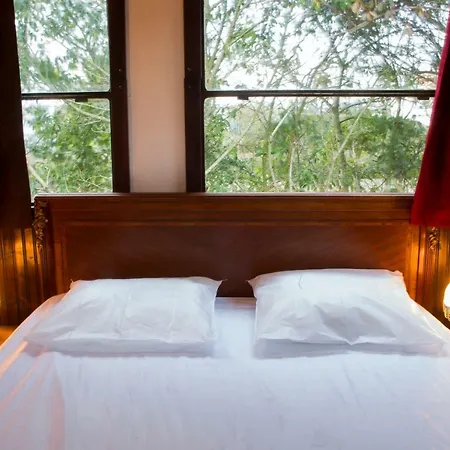 Insolite Le Village * サン・ミシェル・シェフ・シェフ